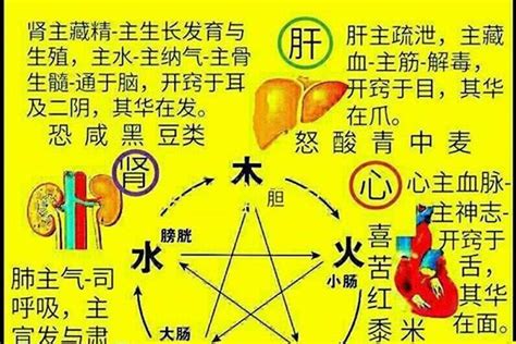 属火的字|五行属火最吉利的字,五行属火最旺的字吉祥有寓意